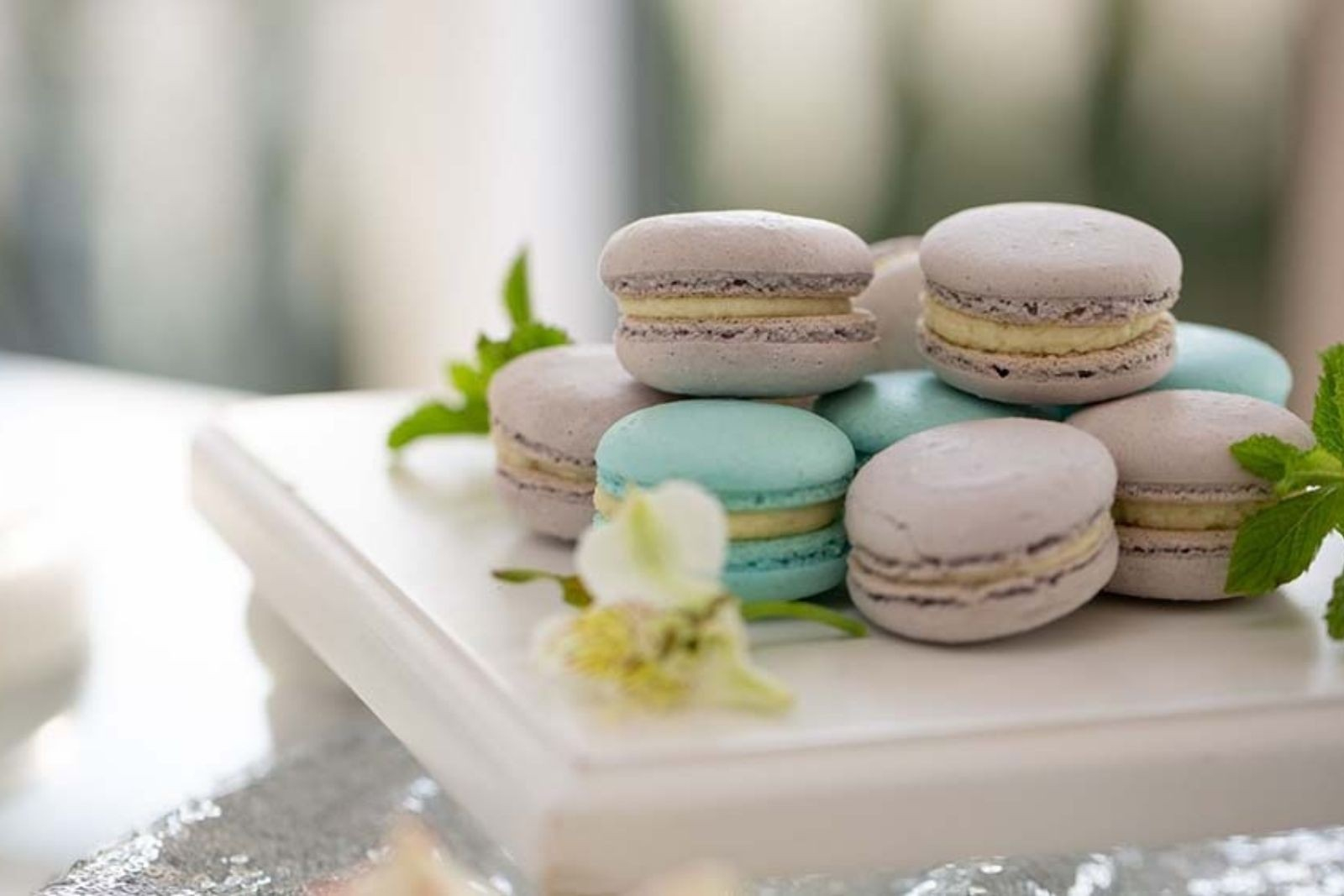 Wedding dessert canapes mise en place cayman islands